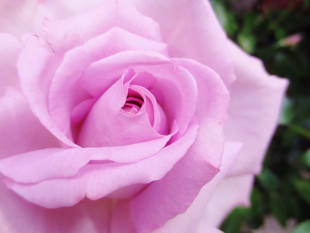 a0317576_1828264.jpg