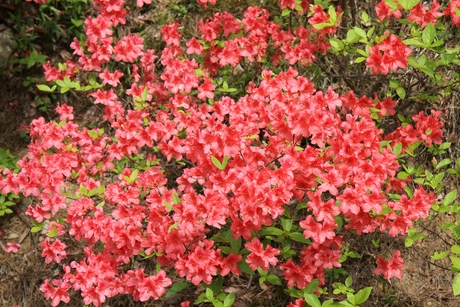 c0283778_15131450.jpg