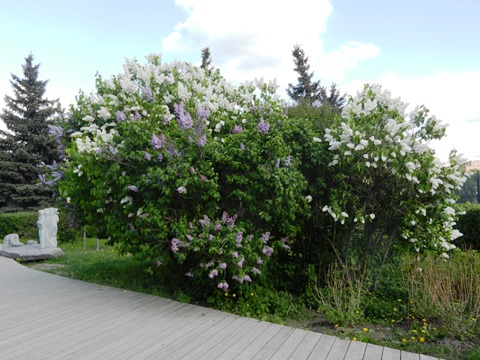 f0209878_22053767.jpg
