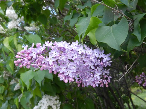 f0209878_22064212.jpg