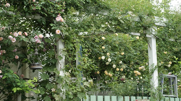 f0166982_2013830.jpg