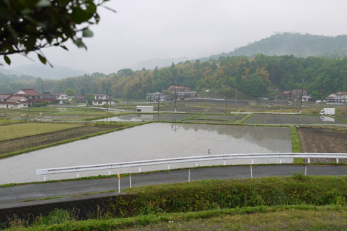 f0222692_805775.jpg