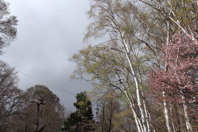 b0204498_12363079.jpg