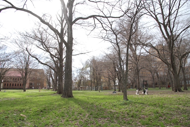 b0204498_12364764.jpg