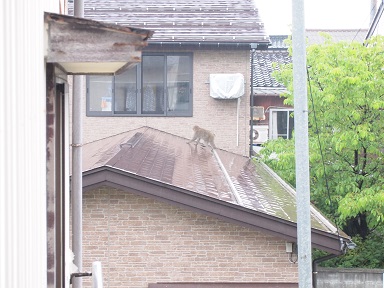 c0187298_21162377.jpg