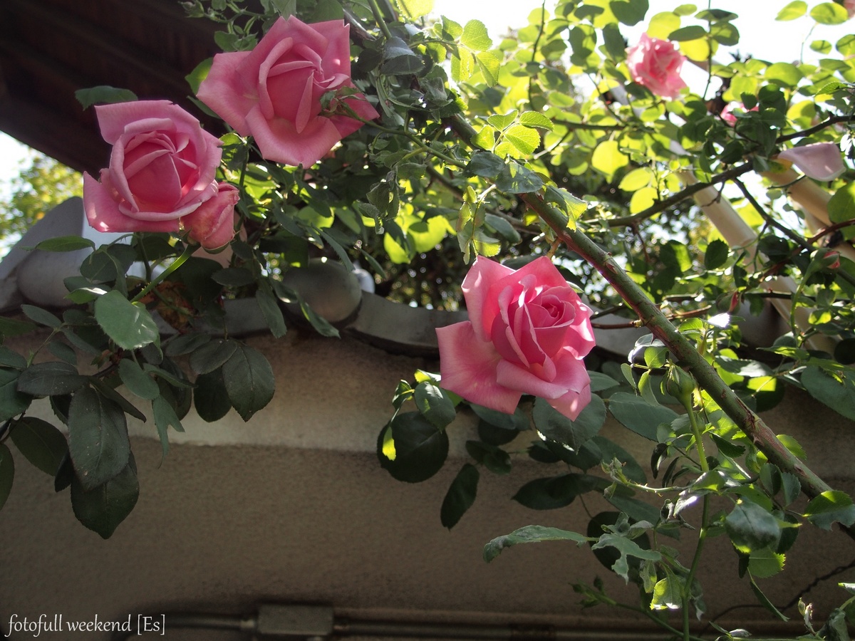 b0138101_2171458.jpg