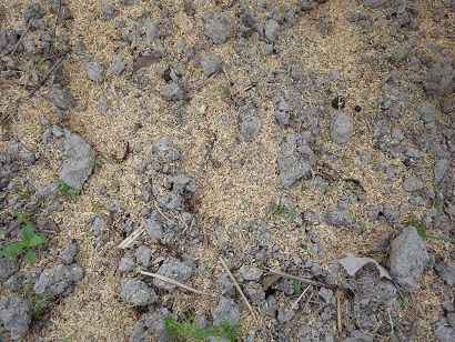 c0280206_5122130.jpg