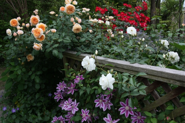 b0307008_2010090.jpg