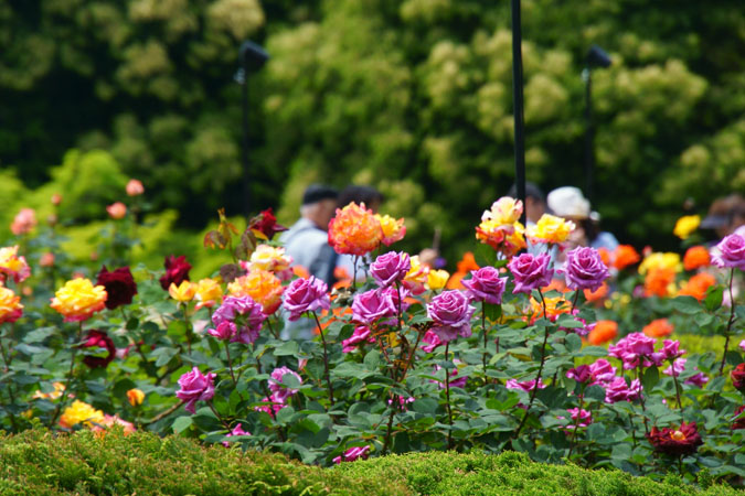 a0263109_15171479.jpg