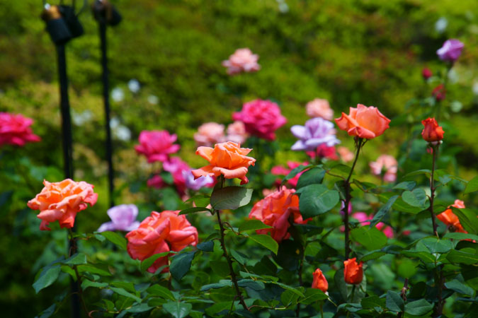 a0263109_15172788.jpg