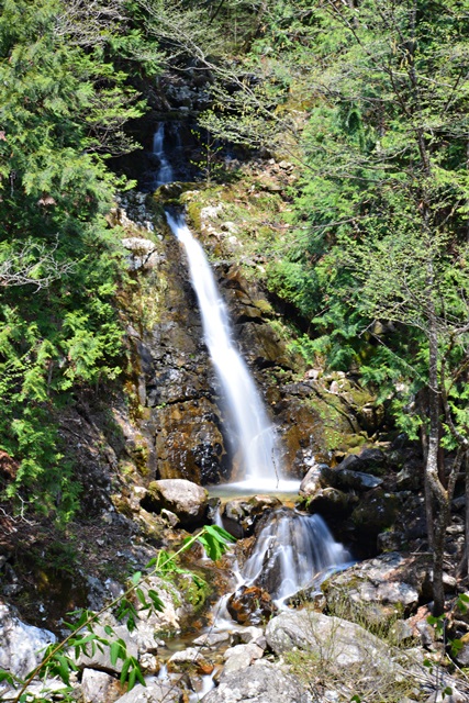 f0046614_22541595.jpg