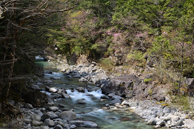 f0046614_22553845.jpg