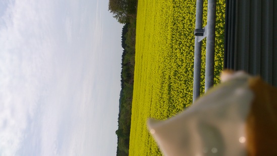 b0195219_0284273.jpg
