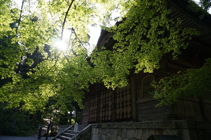 b0068423_2253313.jpg