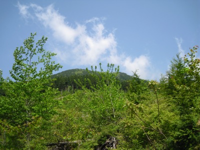 f0158625_11034798.jpg