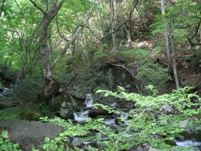 f0158625_11052547.jpg