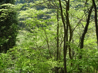 f0158625_11061294.jpg