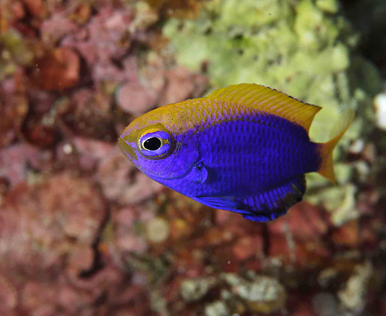 d0039027_2253869.jpg