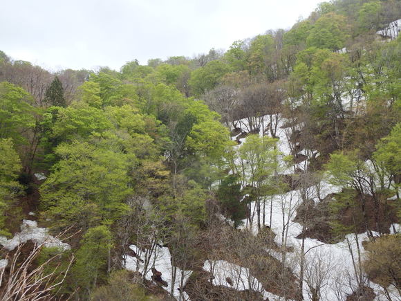 f0118332_22431261.jpg