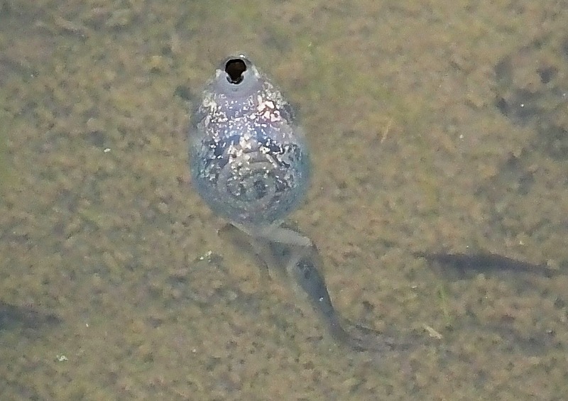 b0236251_16384358.jpg
