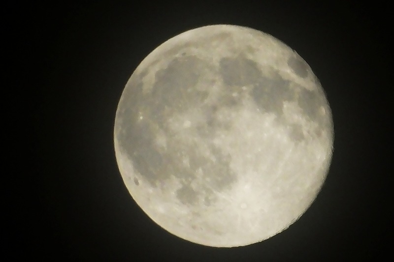 b0236251_16495241.jpg