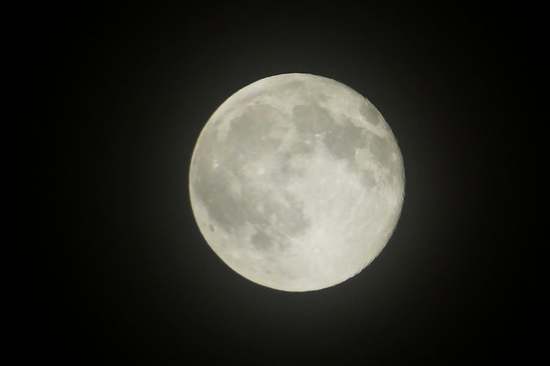 b0236251_1650172.jpg