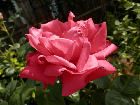e0288951_17505514.jpg