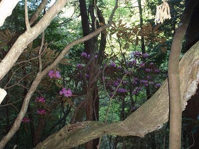 c0097754_10151758.jpg