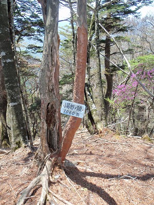 c0097754_1025699.jpg