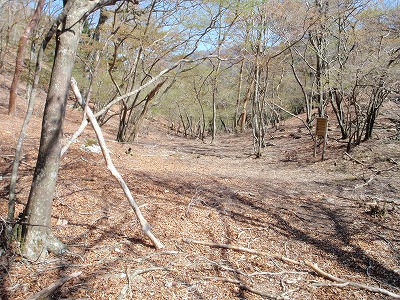 c0097754_10283159.jpg