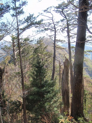 c0097754_10304767.jpg