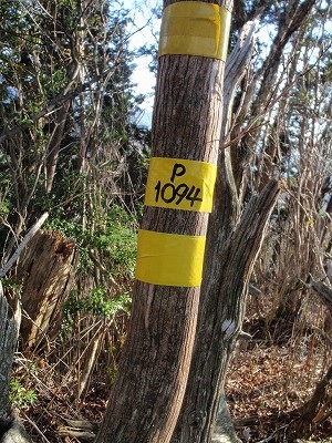 c0097754_10311059.jpg