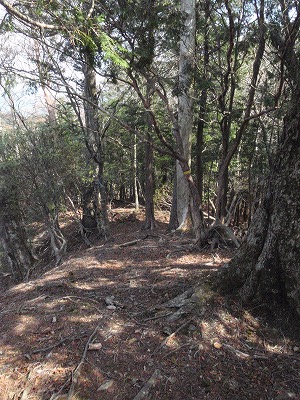 c0097754_10445747.jpg