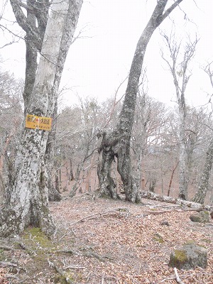 c0097754_10472076.jpg