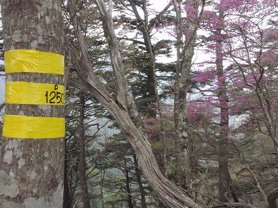 c0097754_10485153.jpg