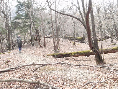 c0097754_10504689.jpg