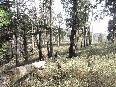 c0097754_10545373.jpg