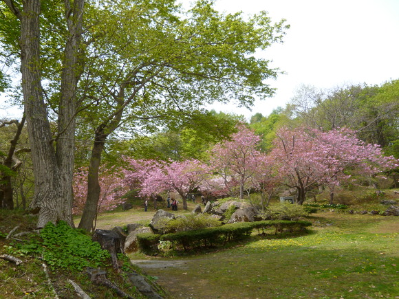 a0193457_19464858.jpg