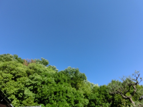 c0328559_164588.jpg