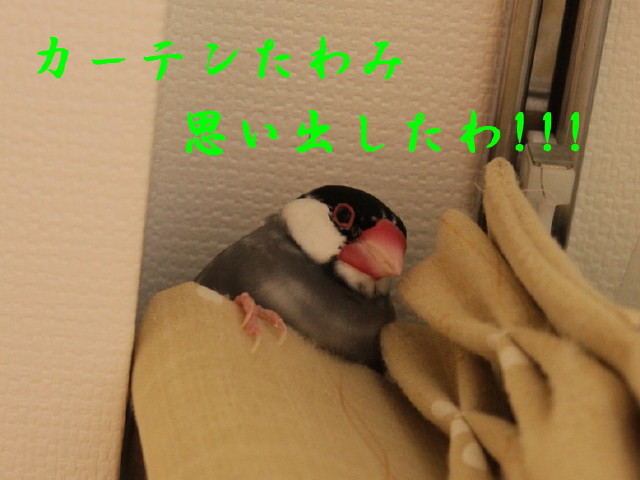 b0158061_23125838.jpg