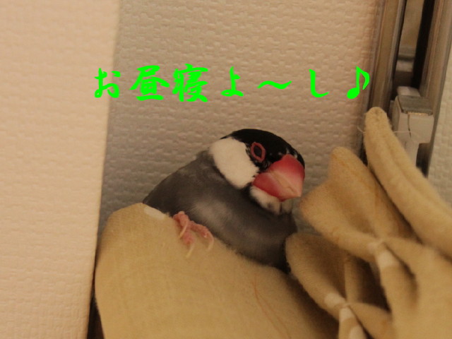 b0158061_23145359.jpg