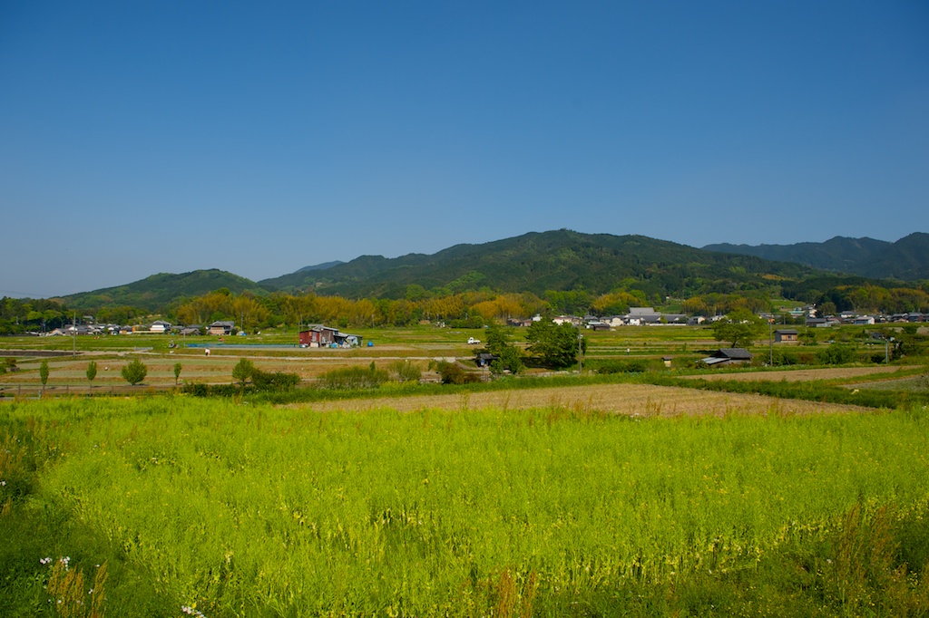 b0247073_2355254.jpg