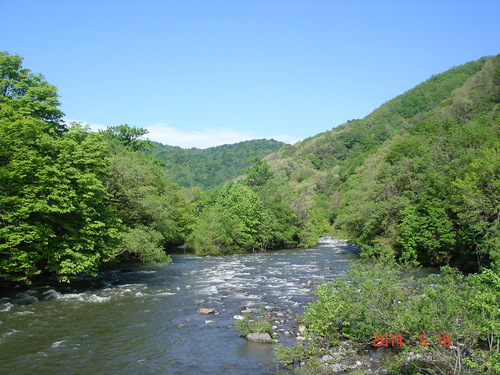 d0165378_1343120.jpg