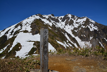e0050579_19372532.jpg