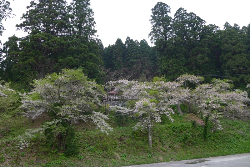 a0127090_23281550.jpg