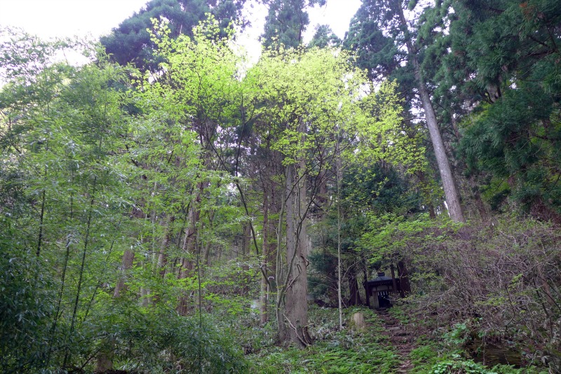 a0127090_23411279.jpg