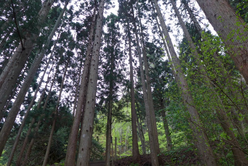 a0127090_23412676.jpg