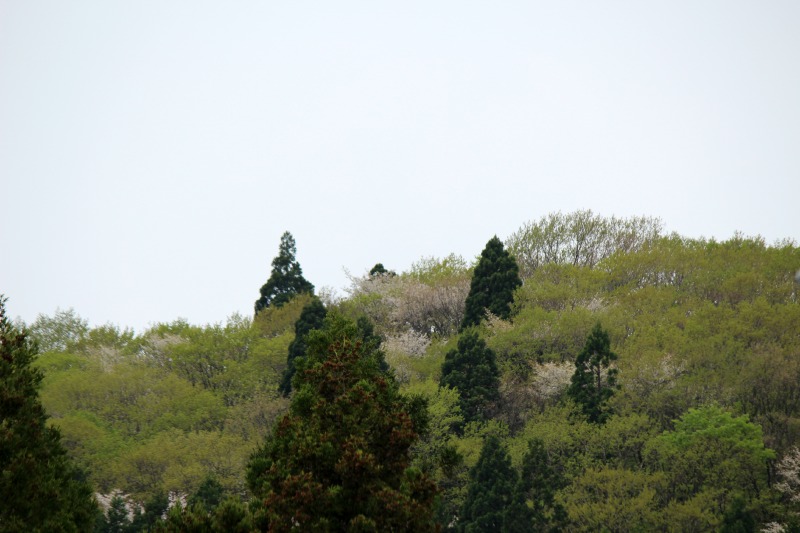 a0127090_2350187.jpg