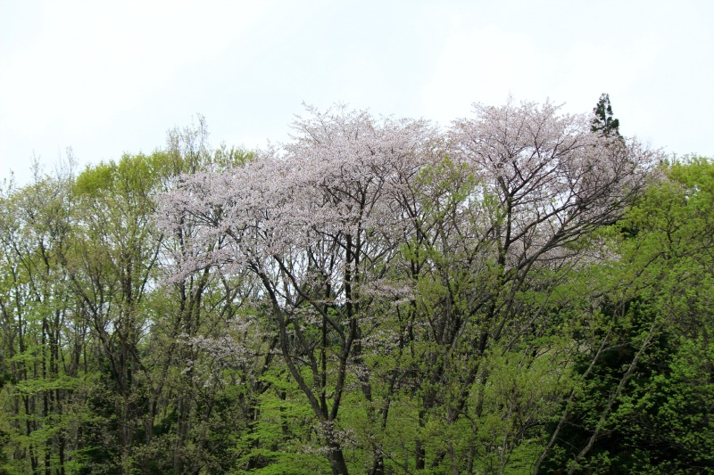 a0127090_2350635.jpg