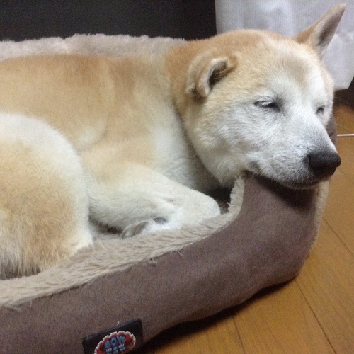 c0123890_20511196.jpg
